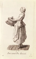 Ärtsäljaren, från "Petits Metiers de Paris"